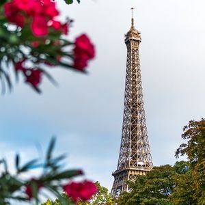 Meet your Posher, Kathleen